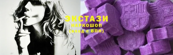 ECSTASY Богородицк